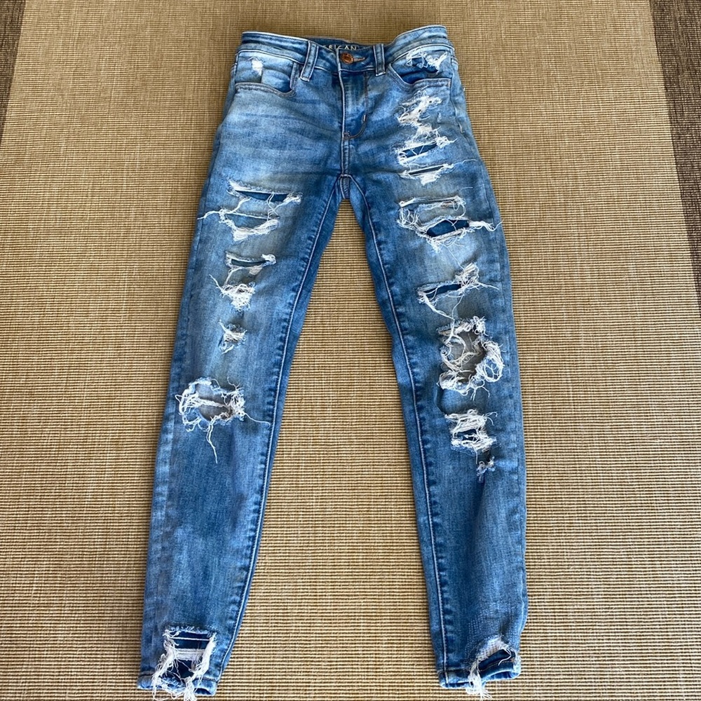 AE Next Level Stretch Distressed Jeans